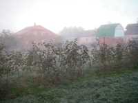 IMGP3137.jpg
