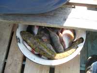 IMG_1758.jpg