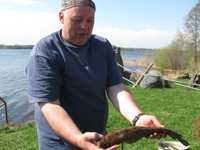 IMG_1762.jpg