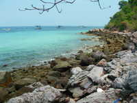 IMGP3583.JPG