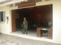 IMGP3774.jpg