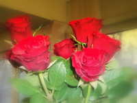 DSCF2112.JPG