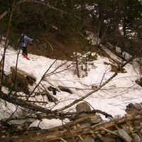 IMGP0487.JPG