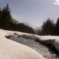 imgp0375.jpg