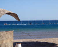DSC02639.JPG