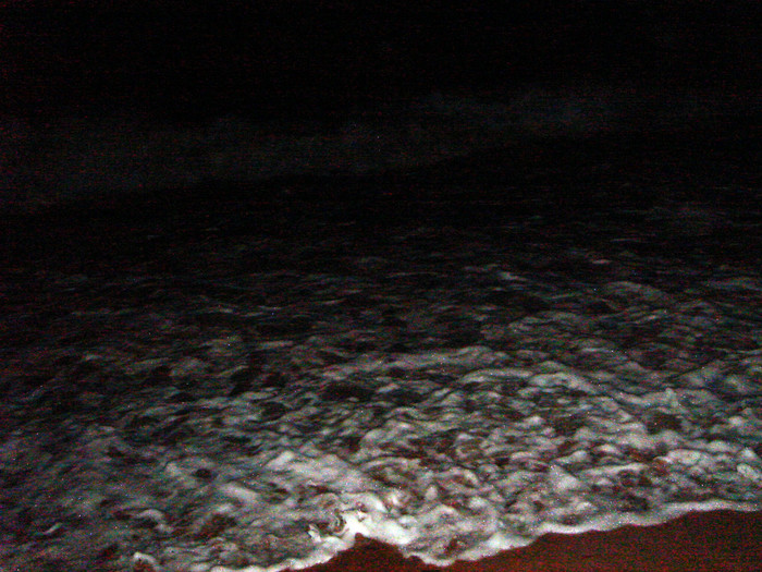 DSC02689.JPG
