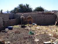 DSC02794.JPG