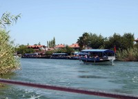IMG 4240