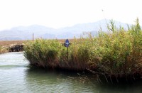 IMG 4253