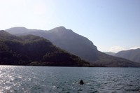 IMG 4292