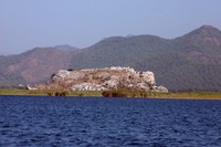IMG 4294