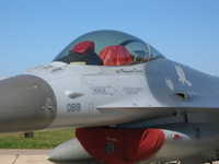 F-16CJ (91-0352)