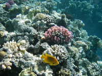 IMGP0551
