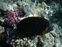 IMGP0602