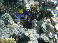 IMGP0608
