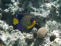 IMGP0610