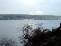 IMG 0006